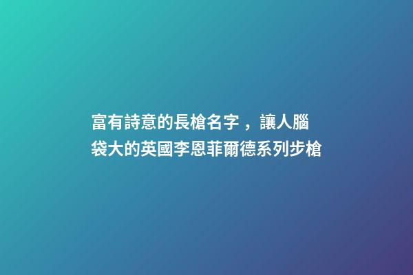 富有詩意的長槍名字，讓人腦袋大的英國李恩菲爾德系列步槍-第1張-觀點-玄機派